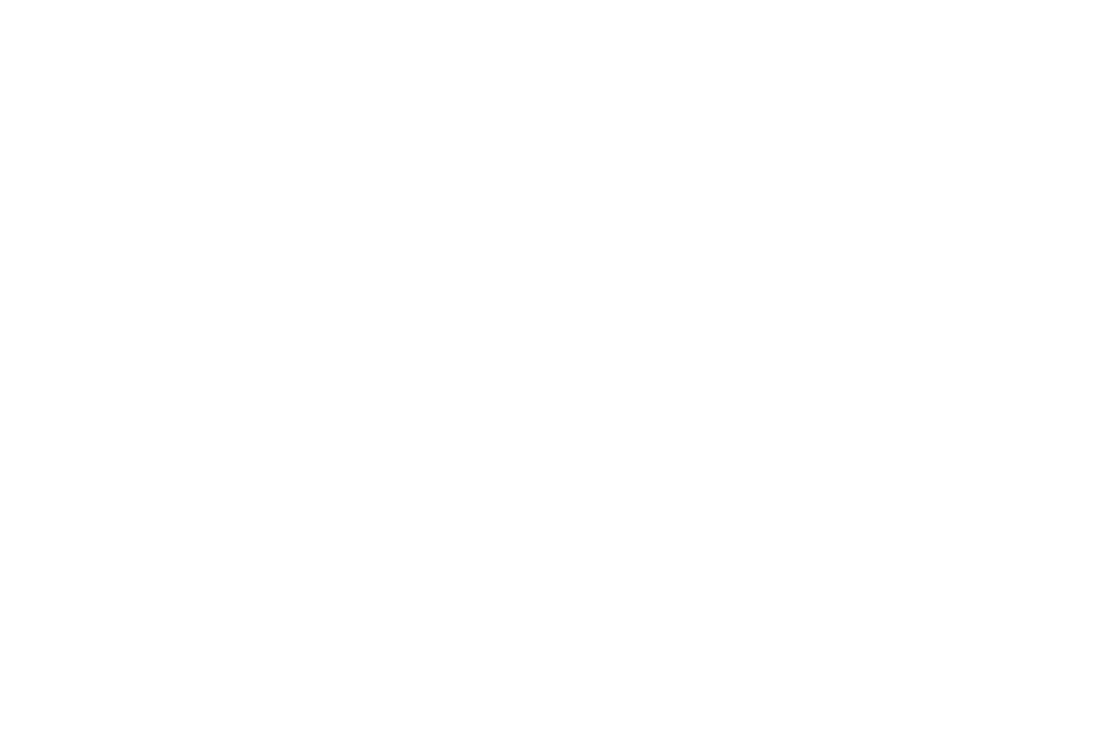 Rimic